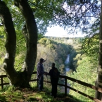 The Diamond Jubilee Path 2012